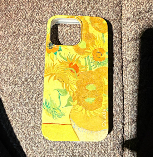 Casely van gogh - van,